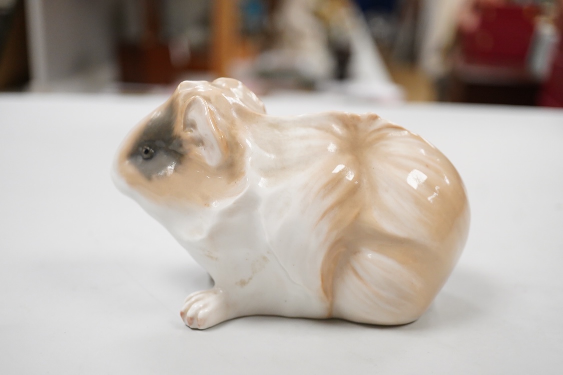 A Royal Copenhagen model of a guinea pig, numbered 503, 14cm wide